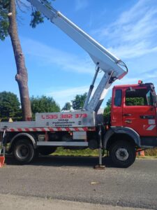 podnośnik koszowy prace na wysokości przycięcie drzewa